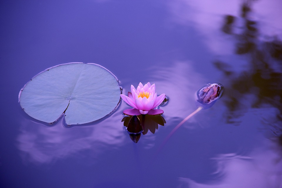 Practice hatha yoga for happiness